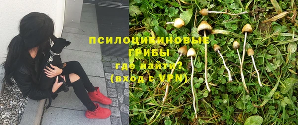 MESCALINE Семикаракорск