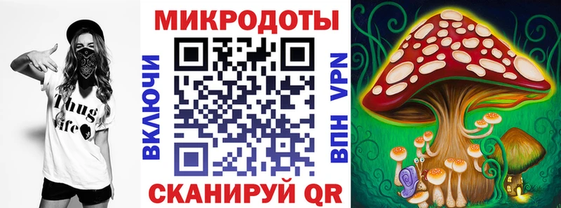 Галлюциногенные грибы Psilocybine cubensis  kraken зеркало  Георгиевск 